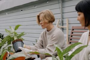 Tips for Creating a Sustainable Home Garden Throughout the Year